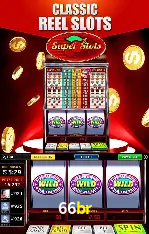 Flash Promotion 66br