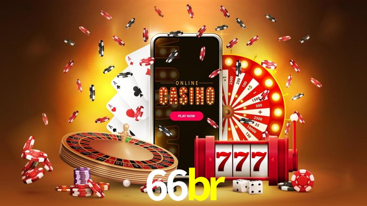 Programa VIP 66br